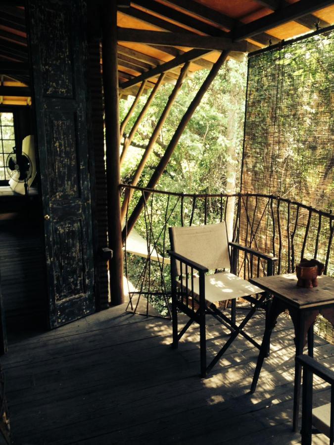 Galkadawala Forest Accommodatie bij particulieren