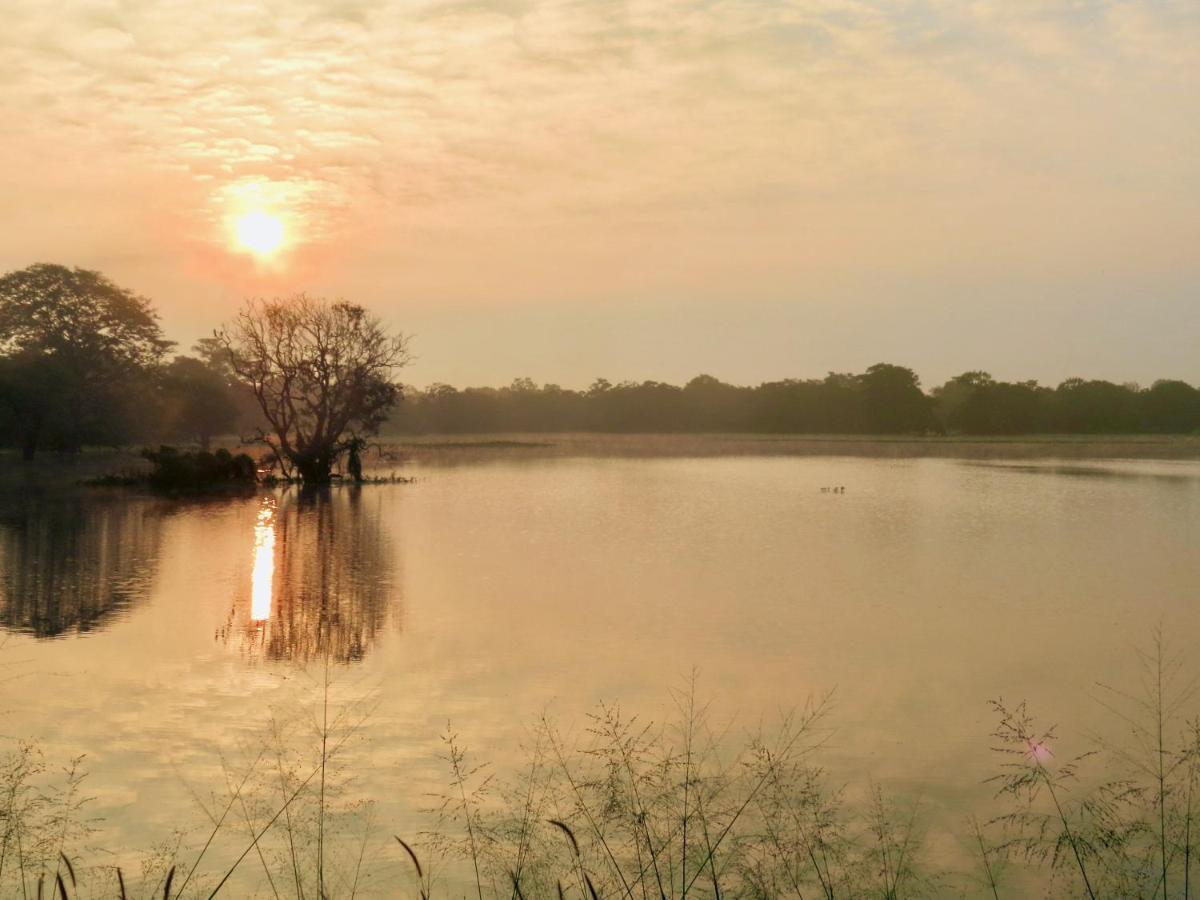 Galkadawala Forest
